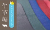 男の子「牛革」2017年度ランキング